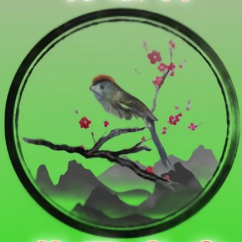 鸟王下山鸟笼鸟具店