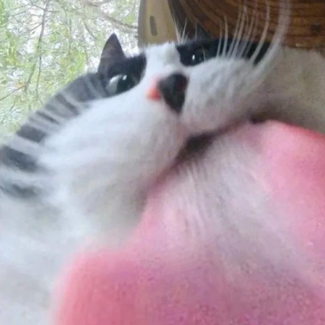 超级可口
