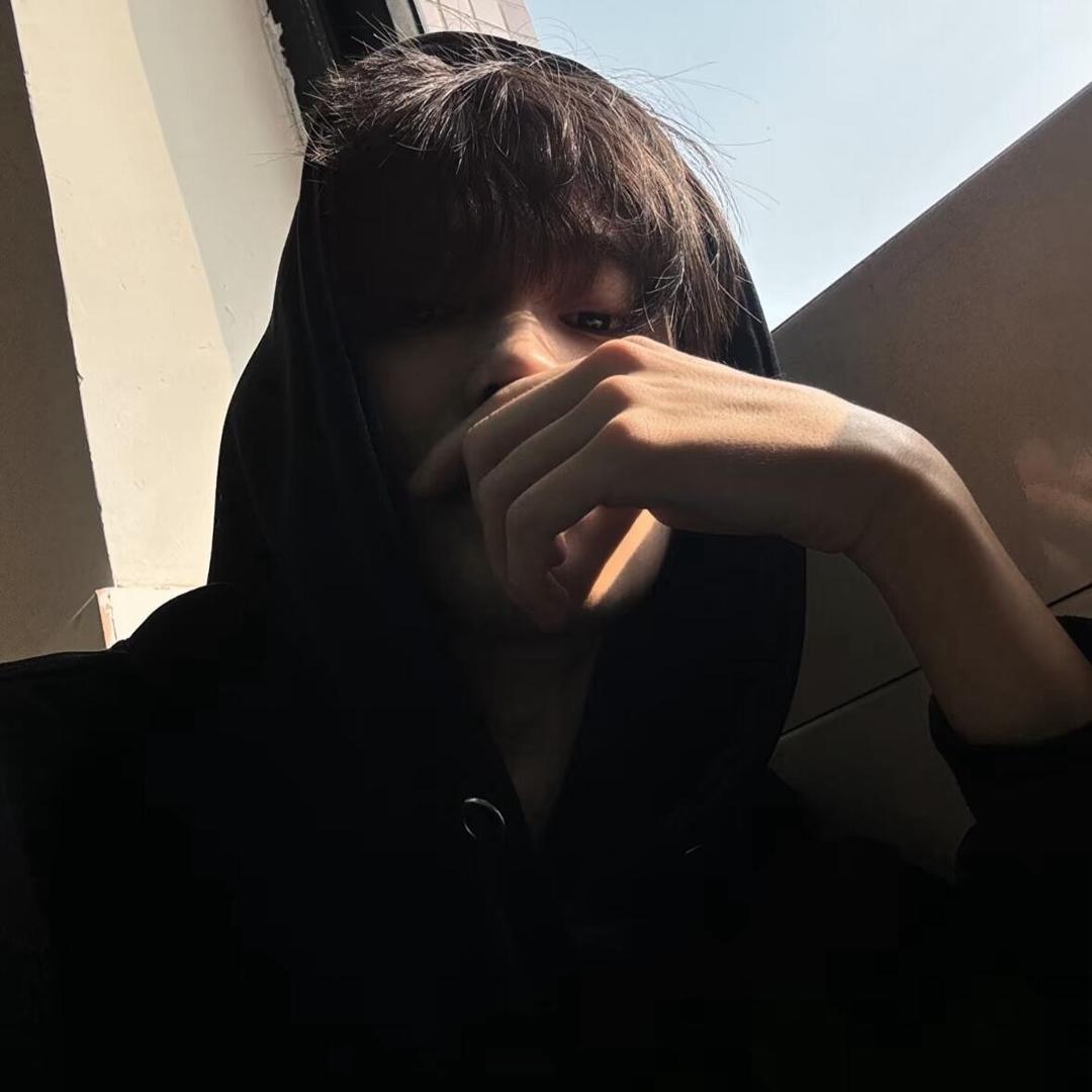 愤怒的荷兰猪