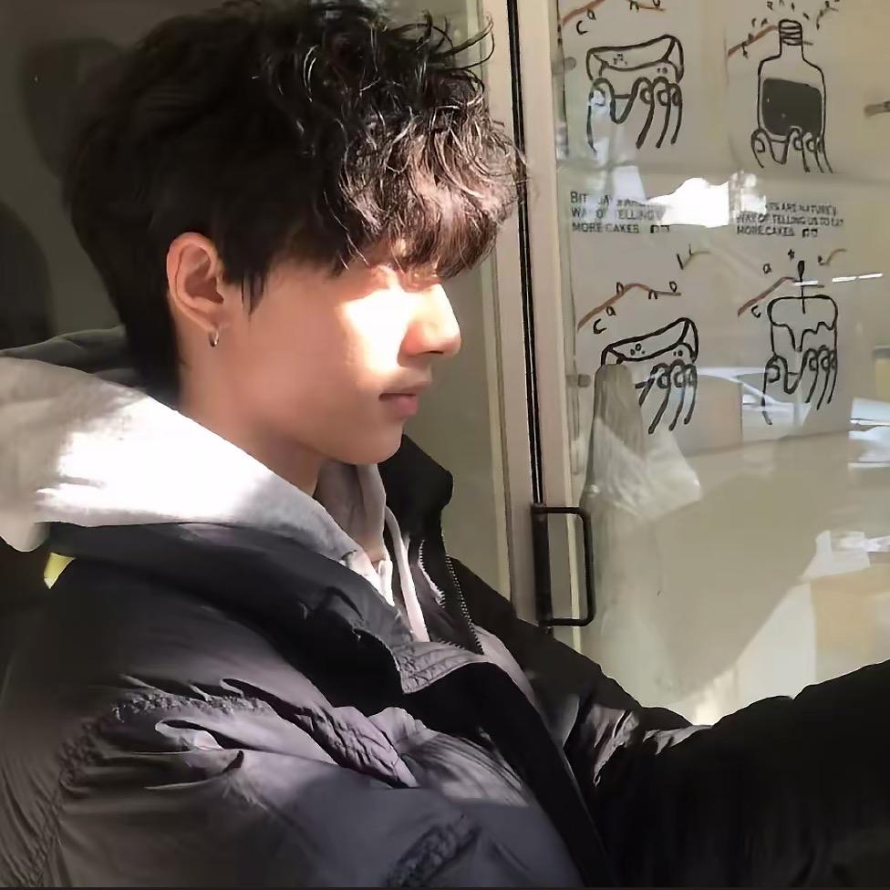 想养只猫