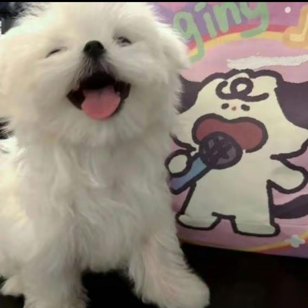无尽缘