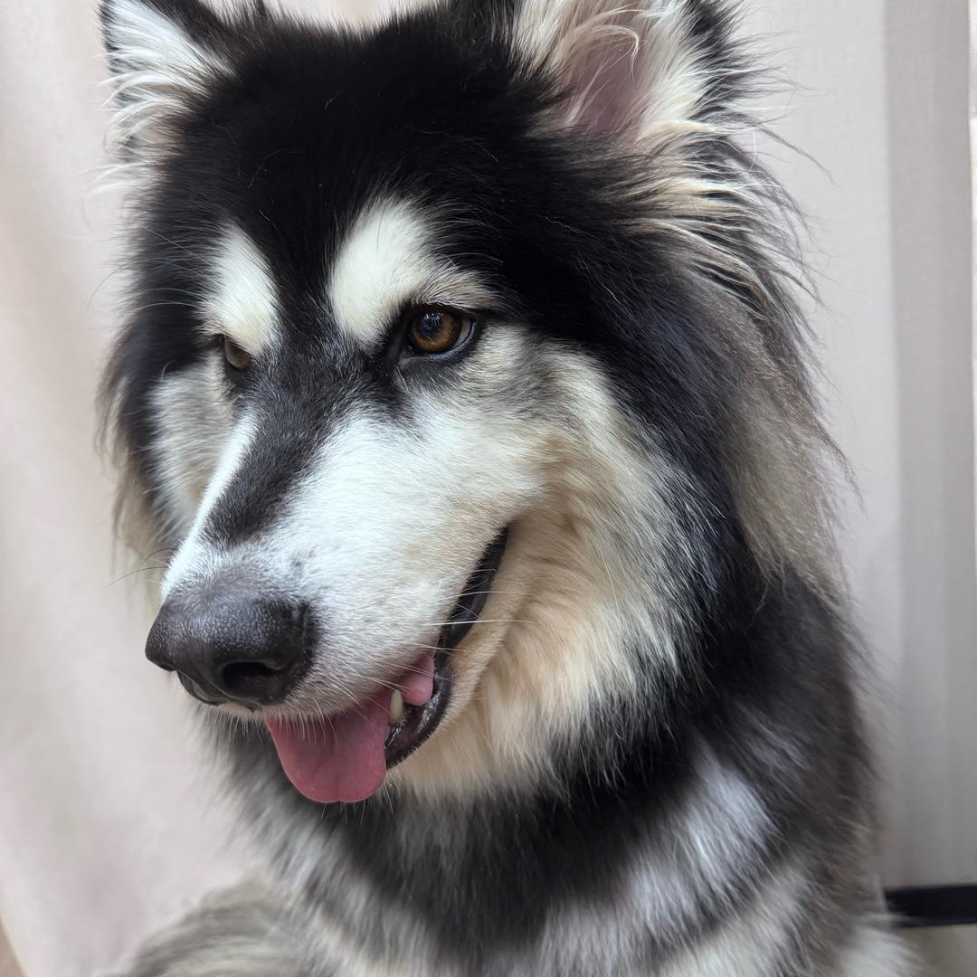 Eaky