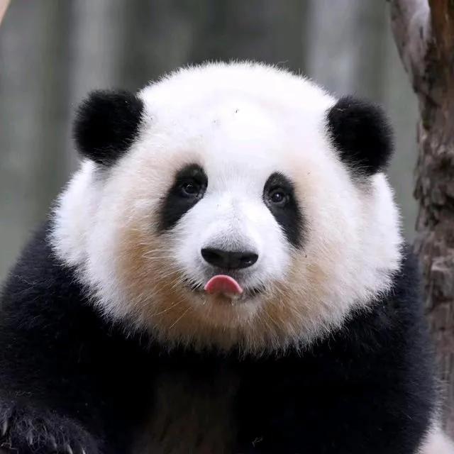 年过四十