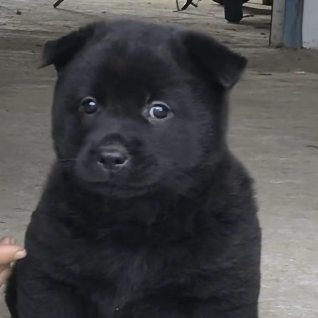 森刻鞋服旗舰店甄选