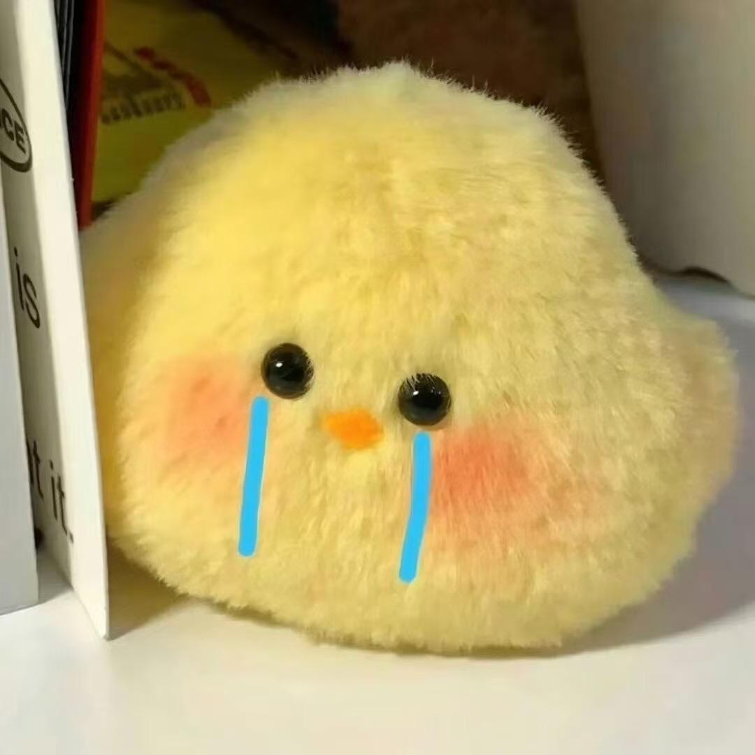 bbbb︋︋