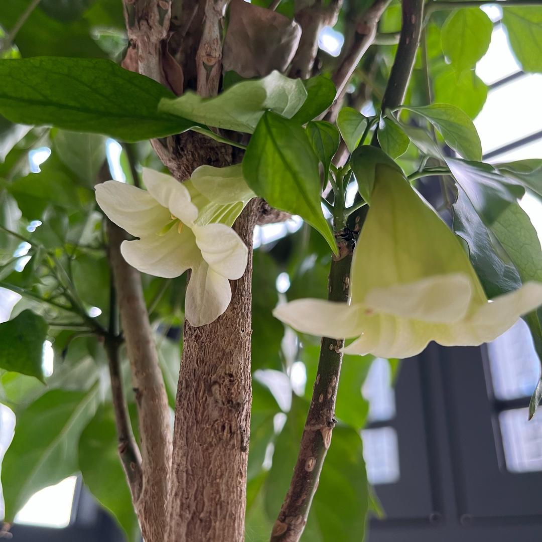 默念三遍不要熬夜