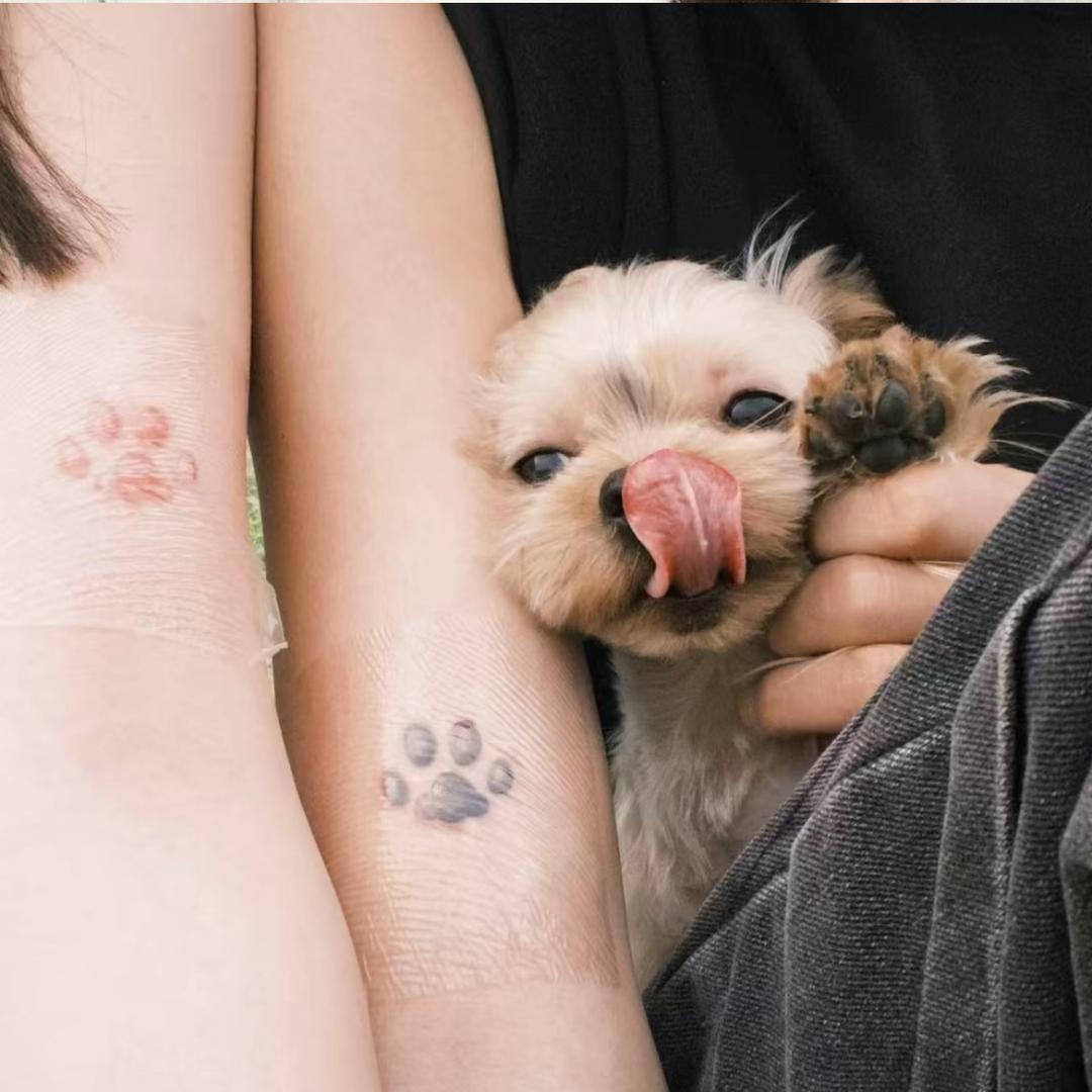 道上的都叫我大小姐