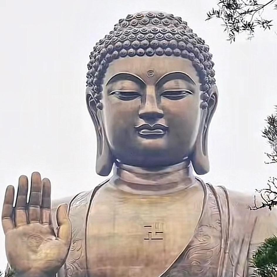 邯郸小桐