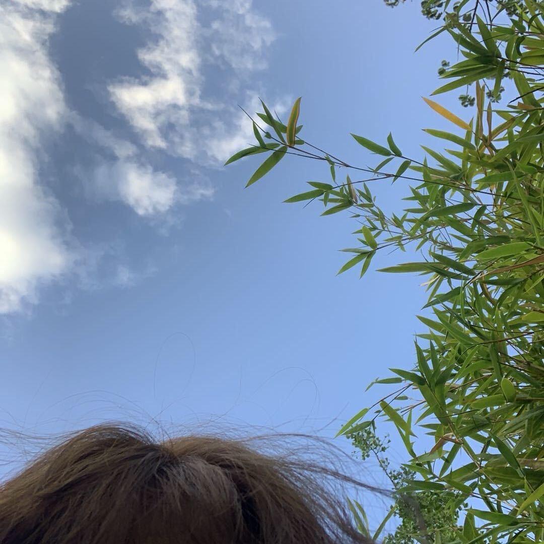 风予皮•͈ᴗ⁃͈★