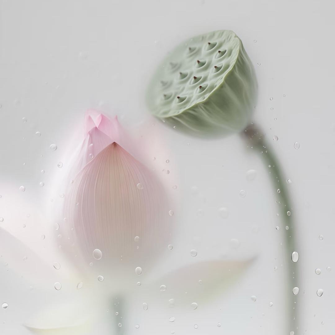 36.7℃