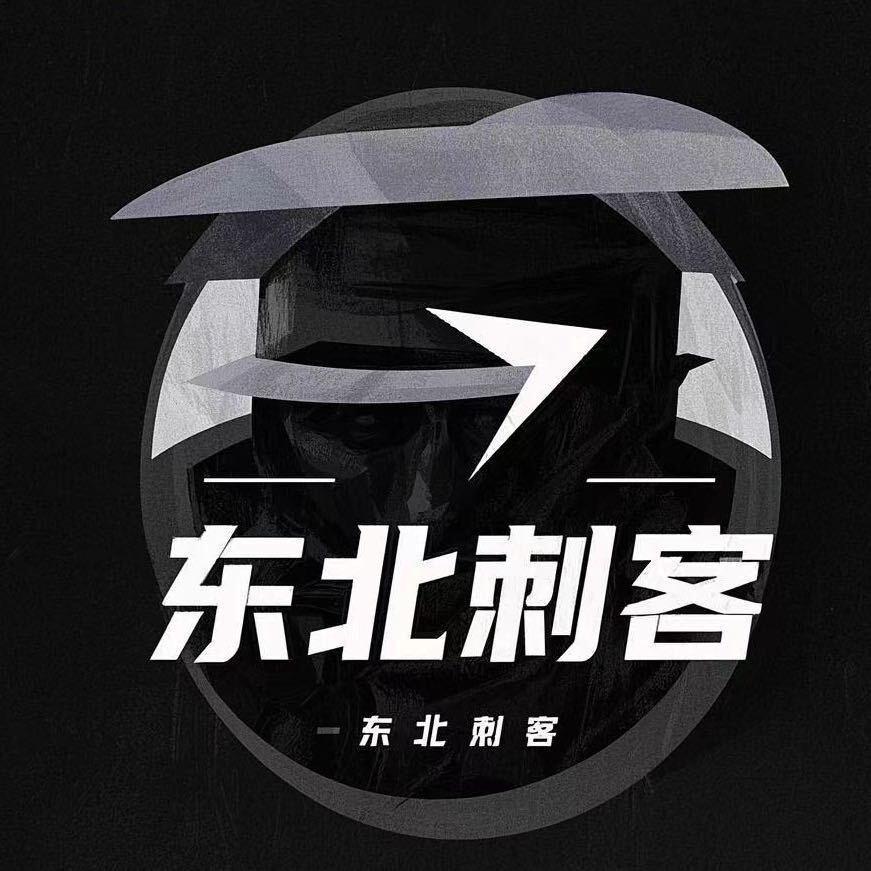 东北刺客🥷辉