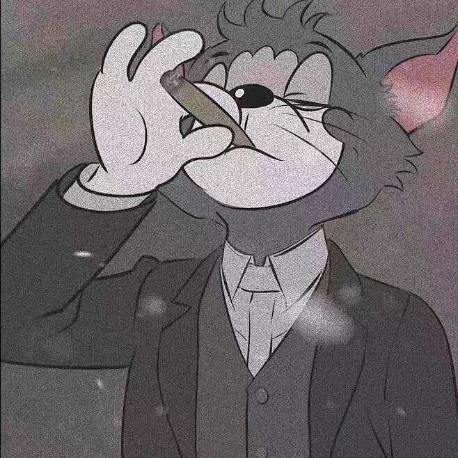 懒猫日记