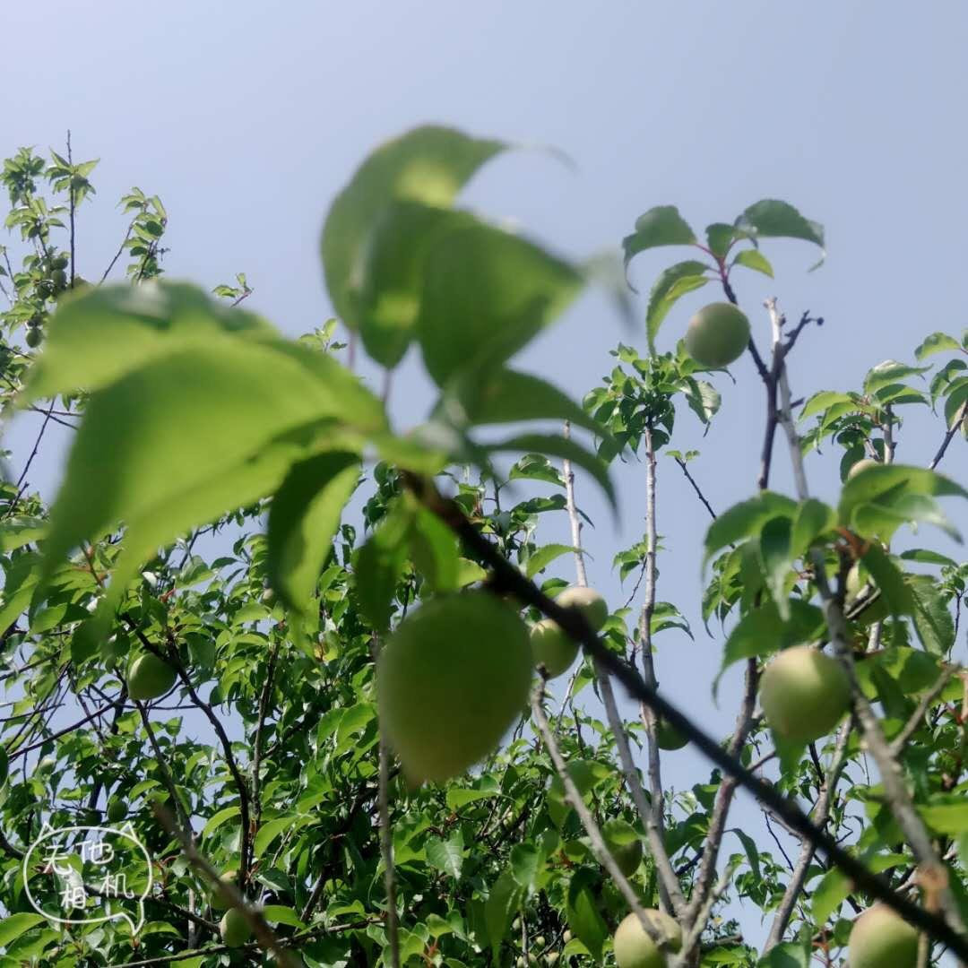 略略看货