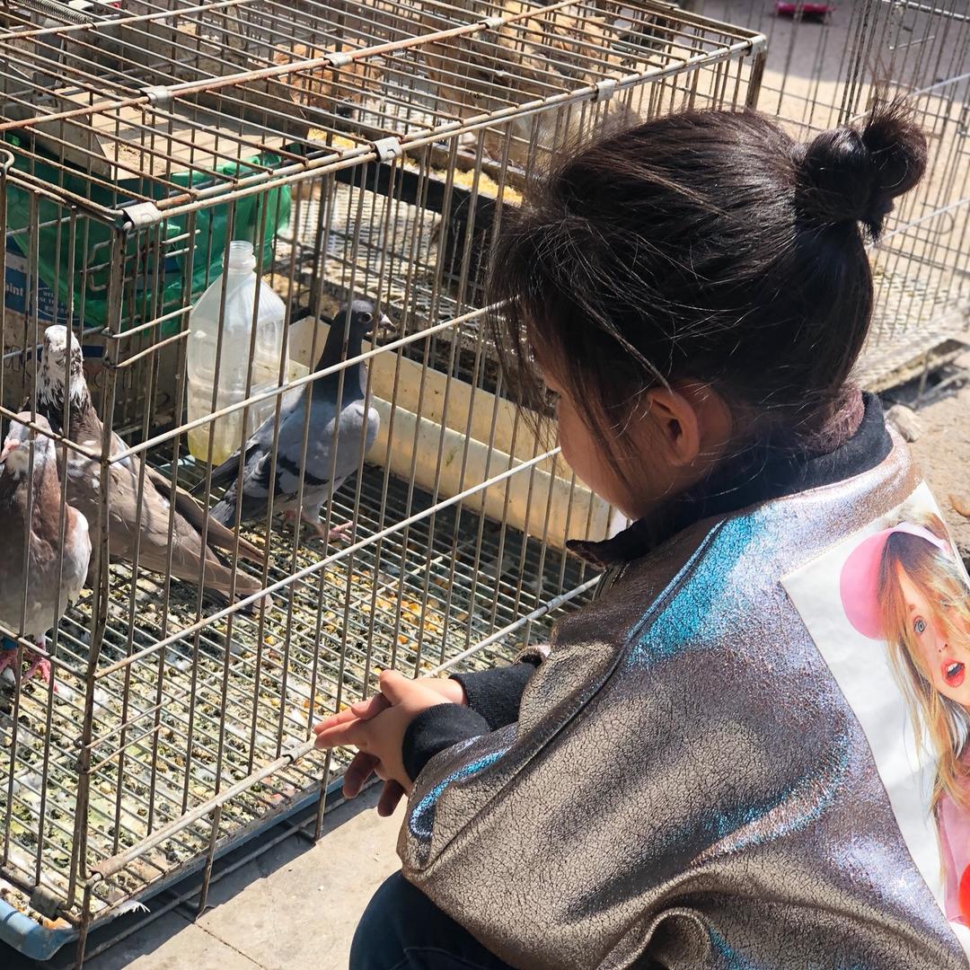 丽莎蛋糕