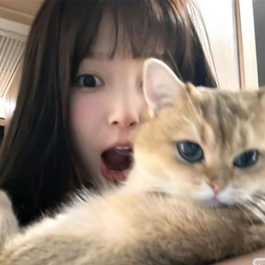 上好佳