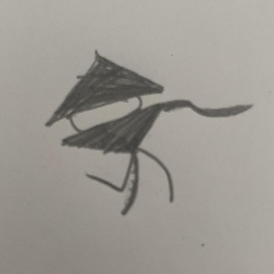 我是隐归呀