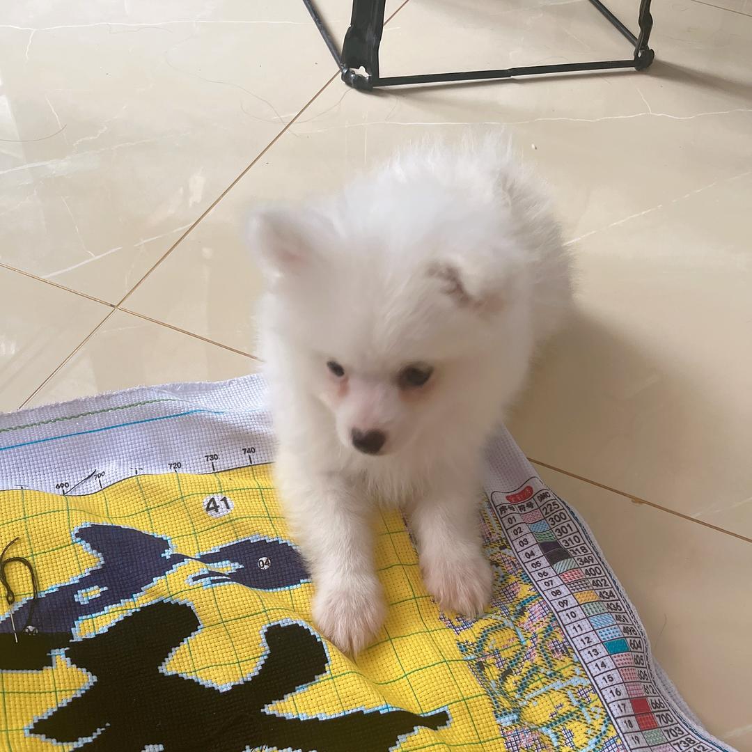 潇潇