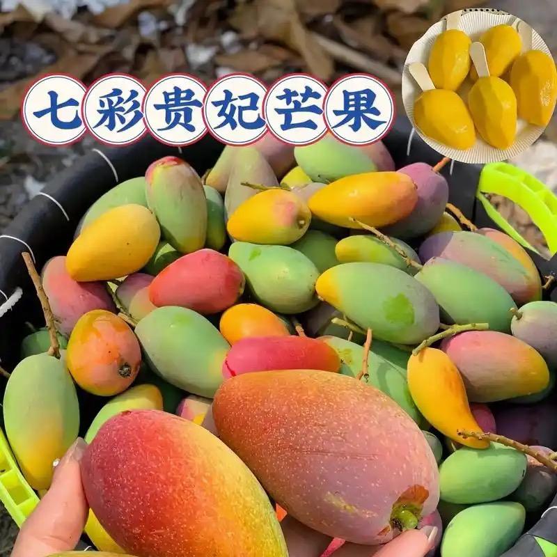 桂香园农产品