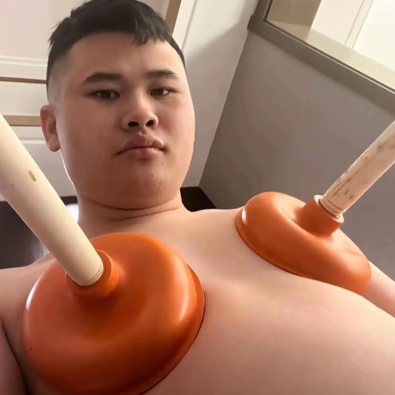 翉
