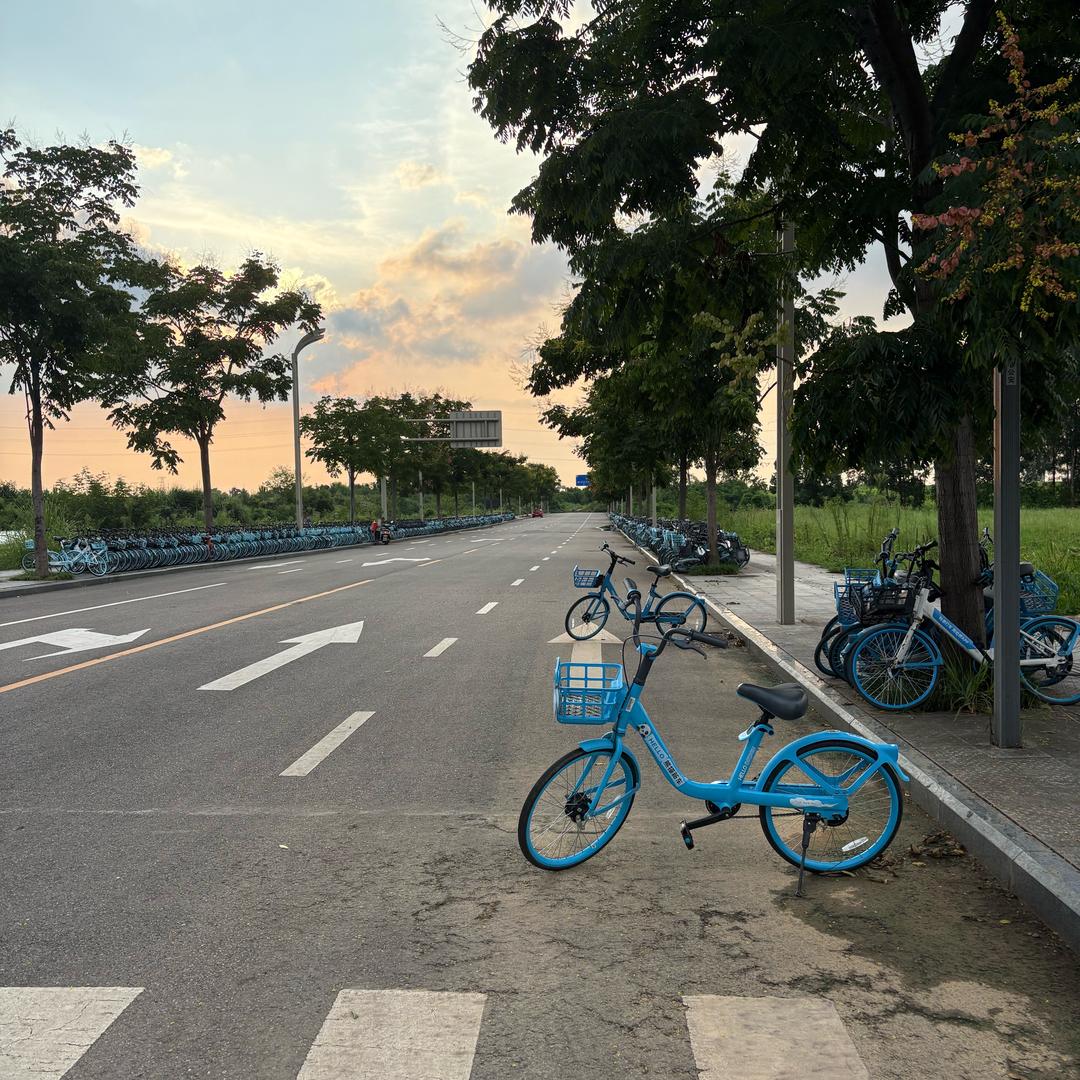 喜欢鸭翅的年年