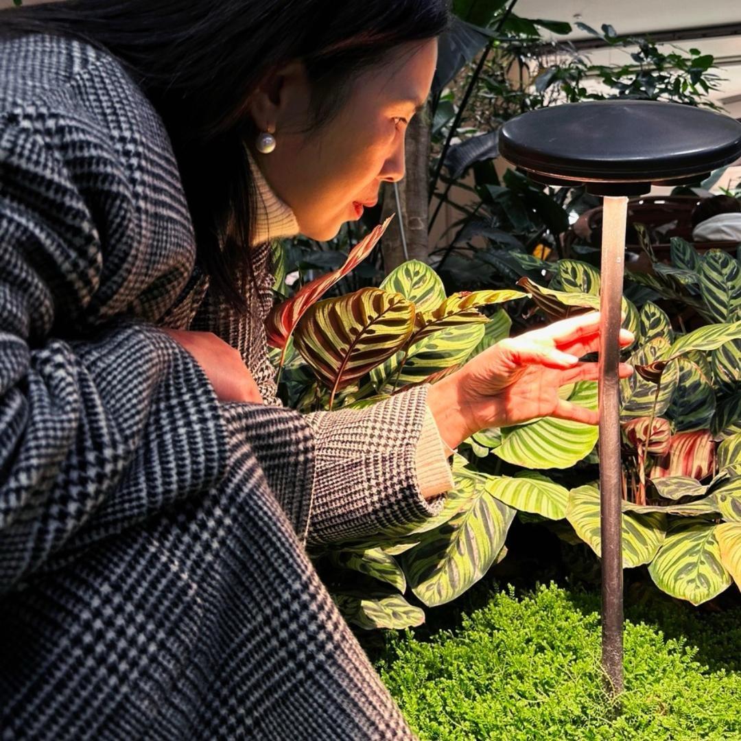 Ying Jie’s买手店