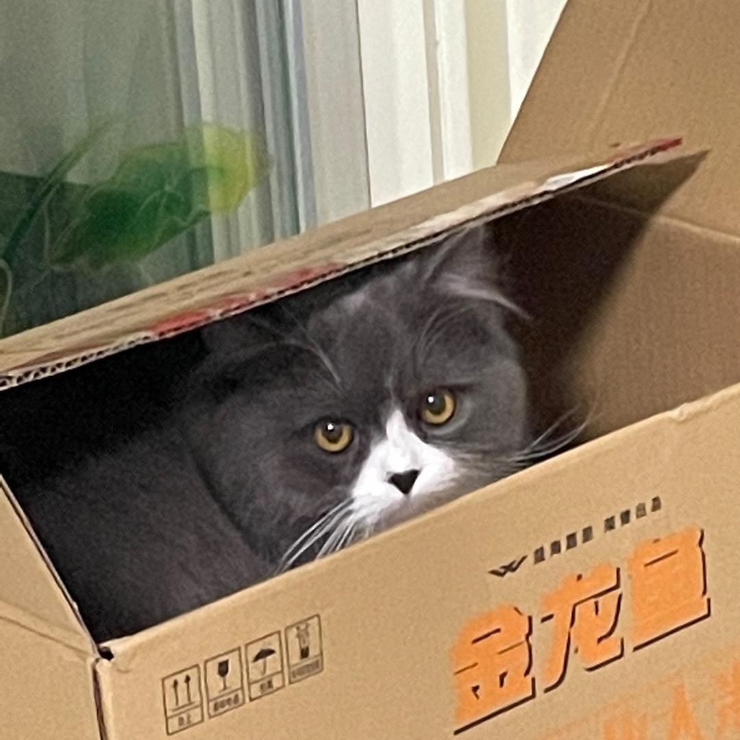 懒洋洋家