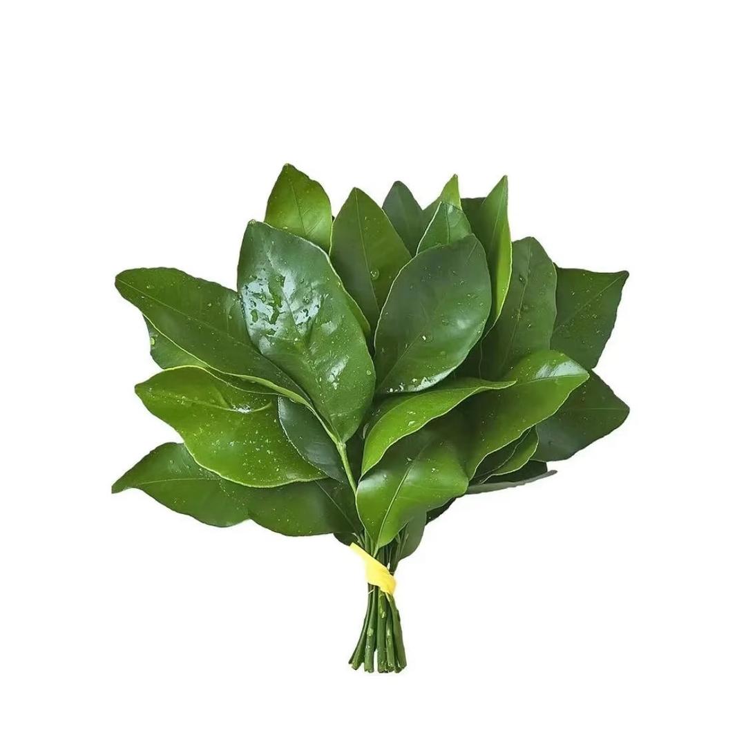 茜茜五彩石铺