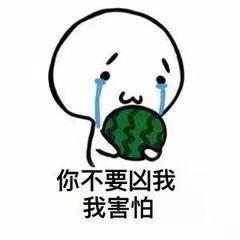 伊苏头像