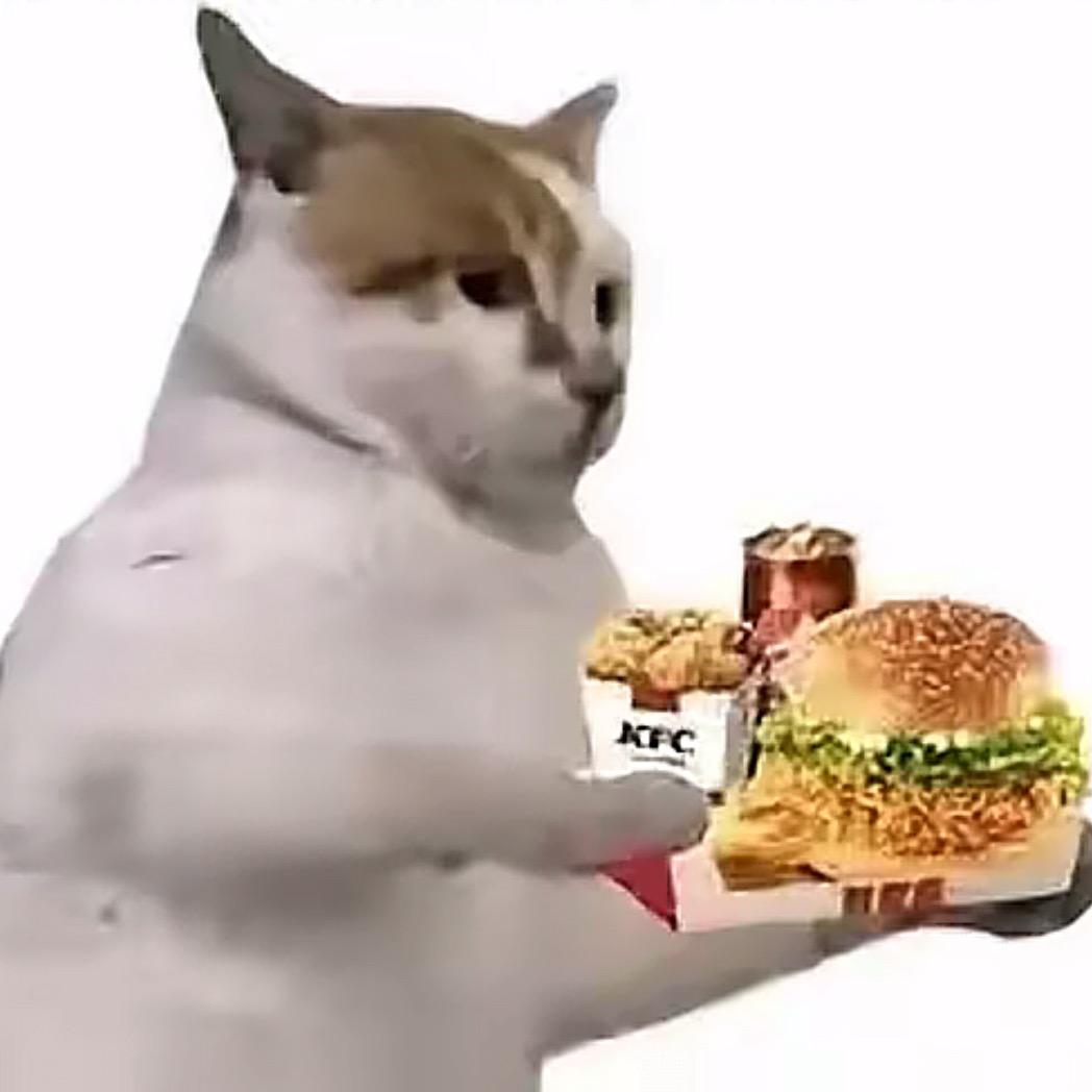 泥吃不吃肯德基