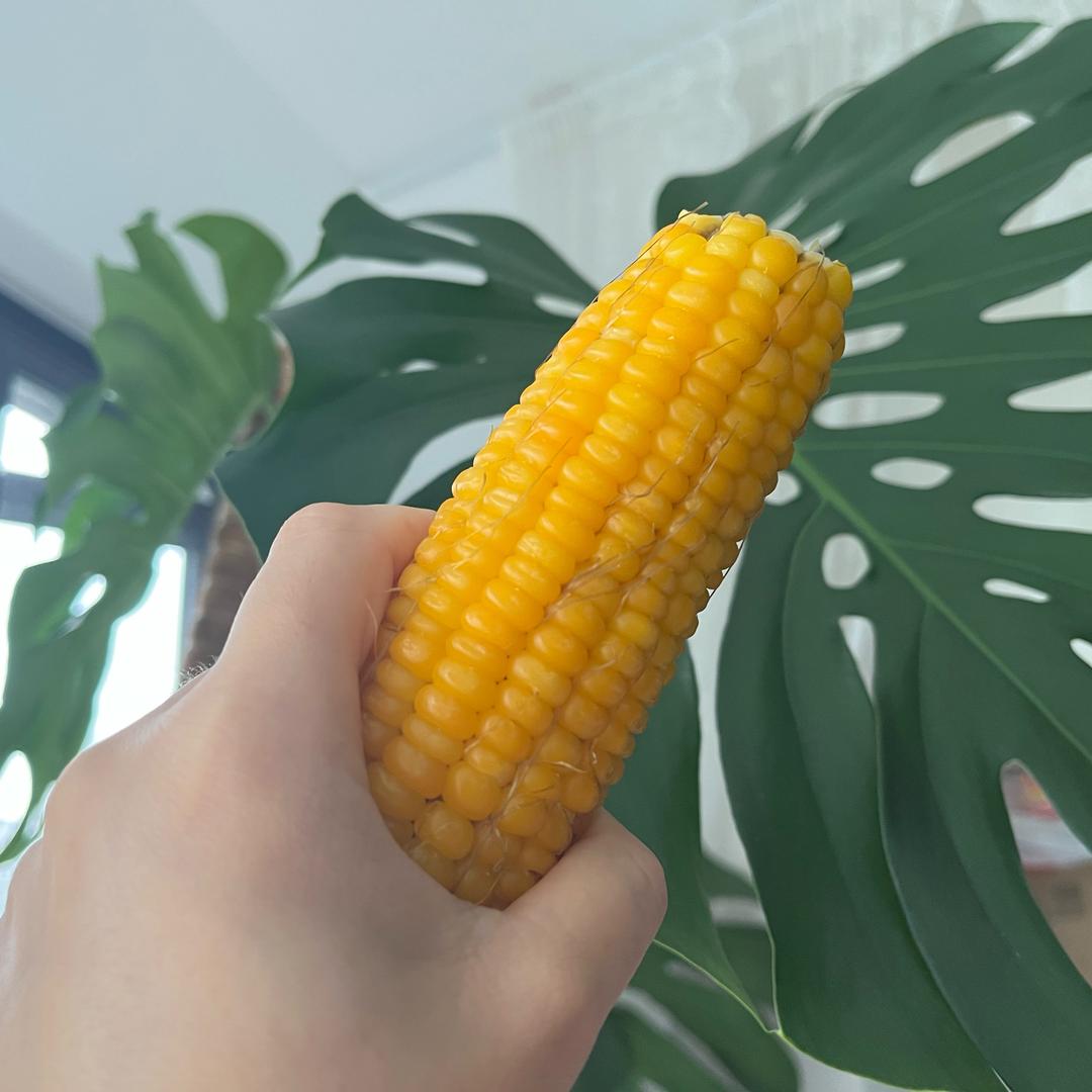 不负盛夏