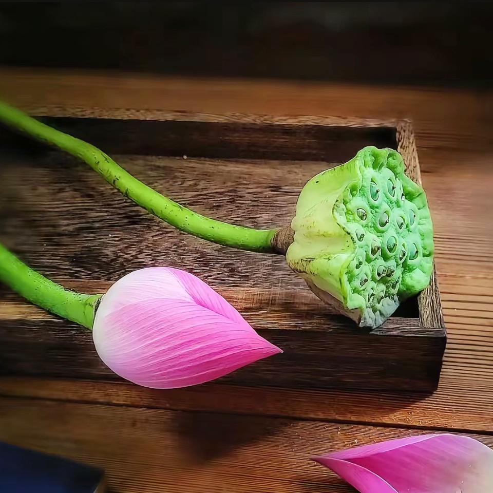 善心善念倪老师