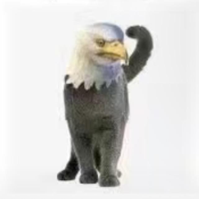 鹰头猫古着