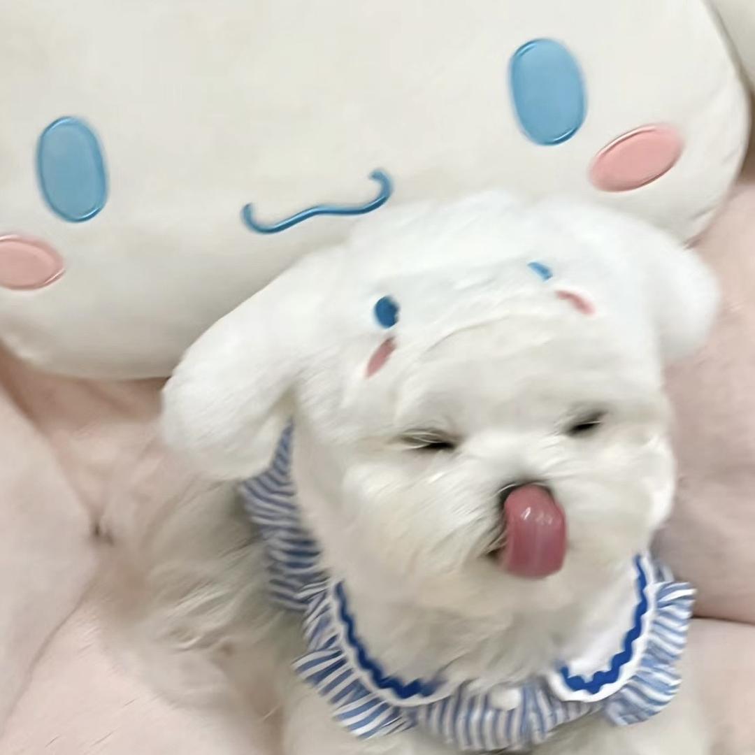 久妖妖
