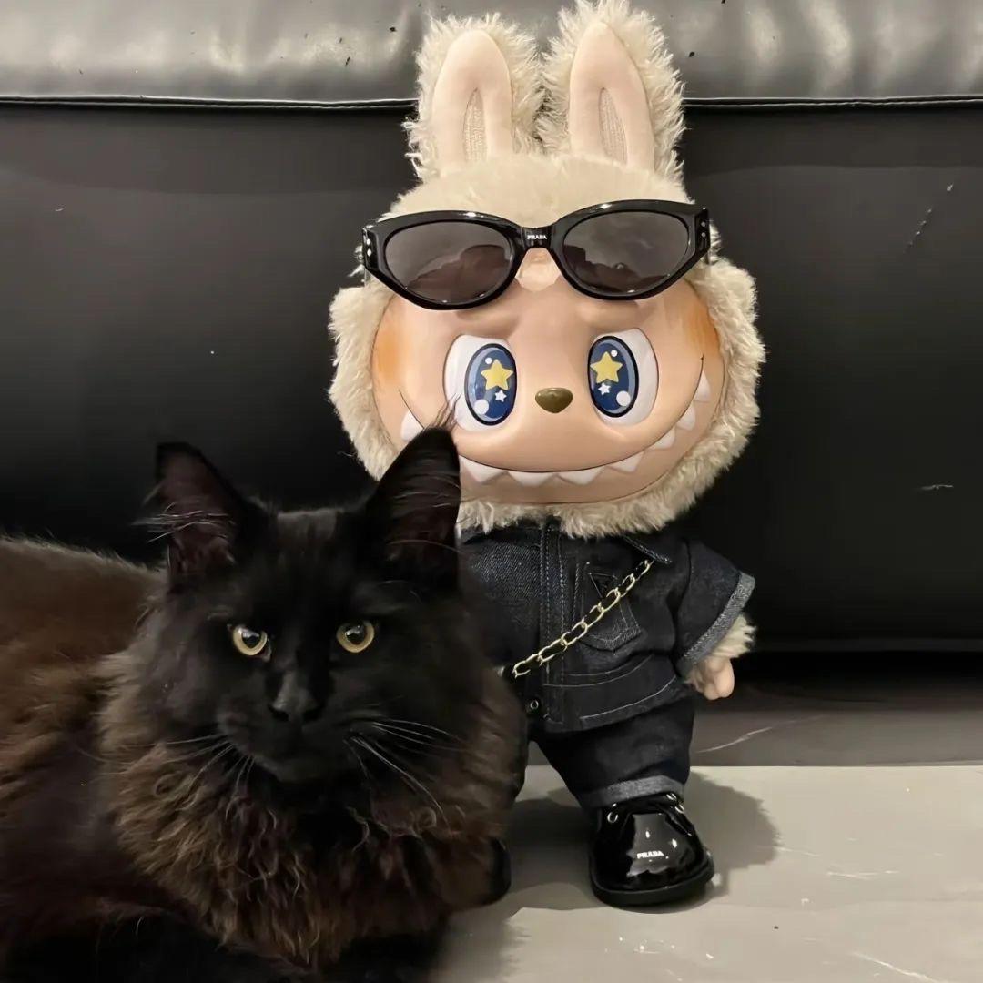 😿