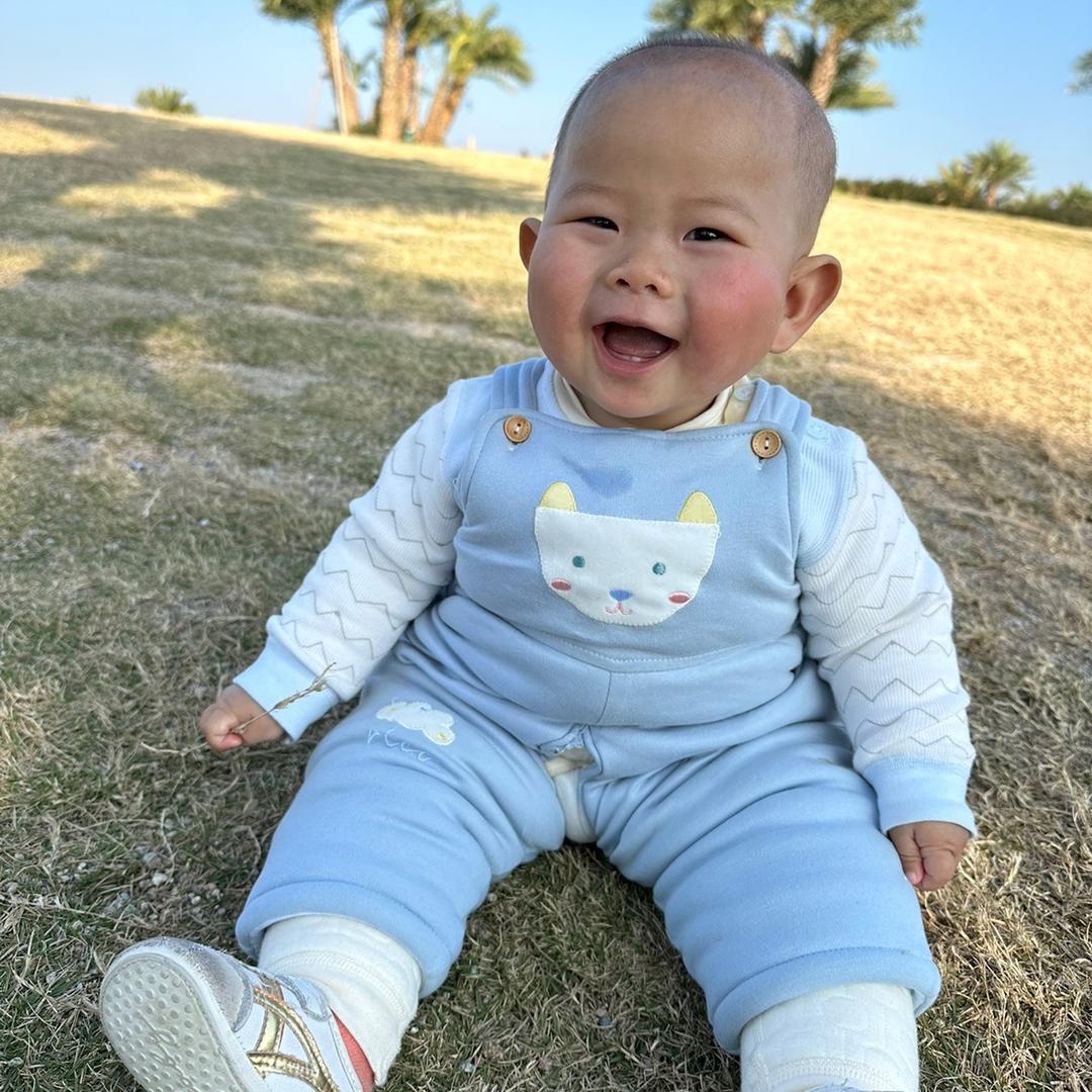 段