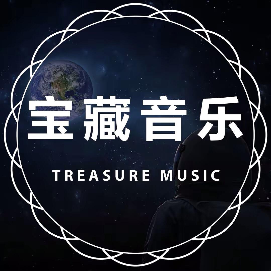 宝藏音乐（车载U盘）