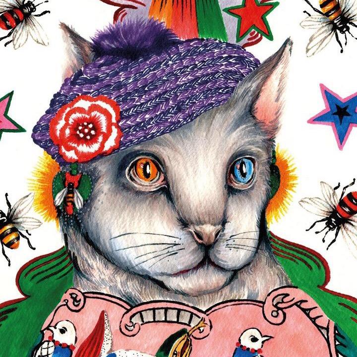 清远市撸猫猫宠物店