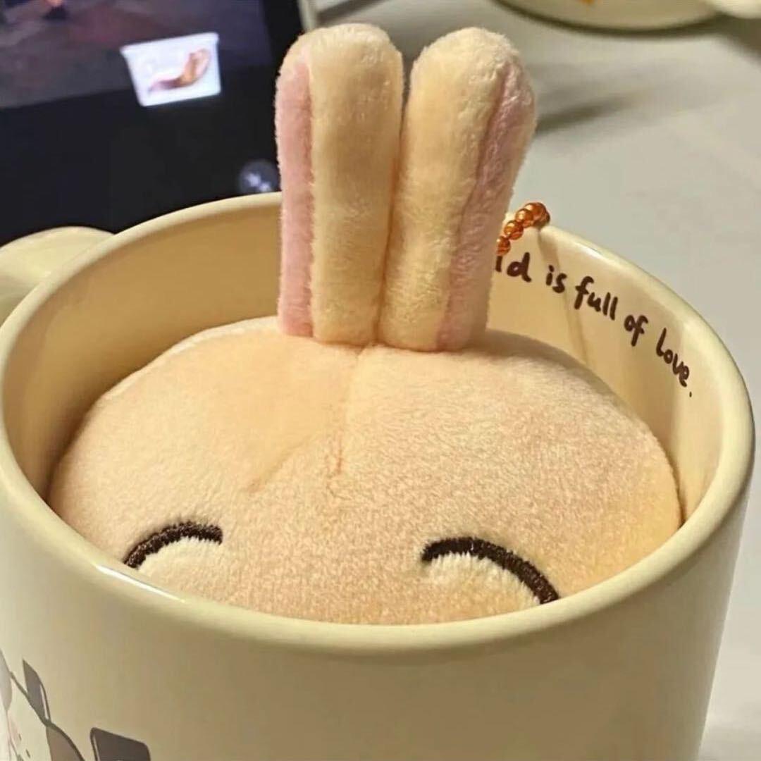 默默向晚晴