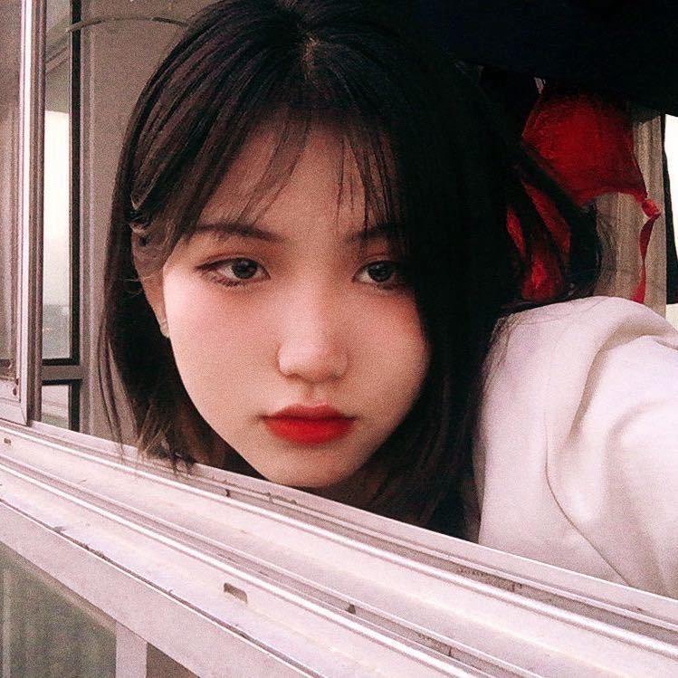 不念过往♂烟花易冷