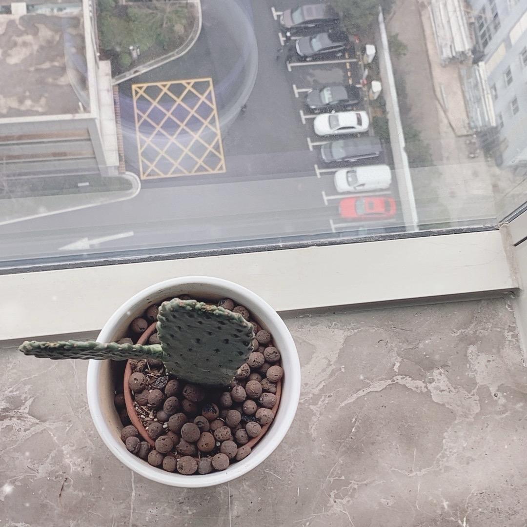 顺风顺水