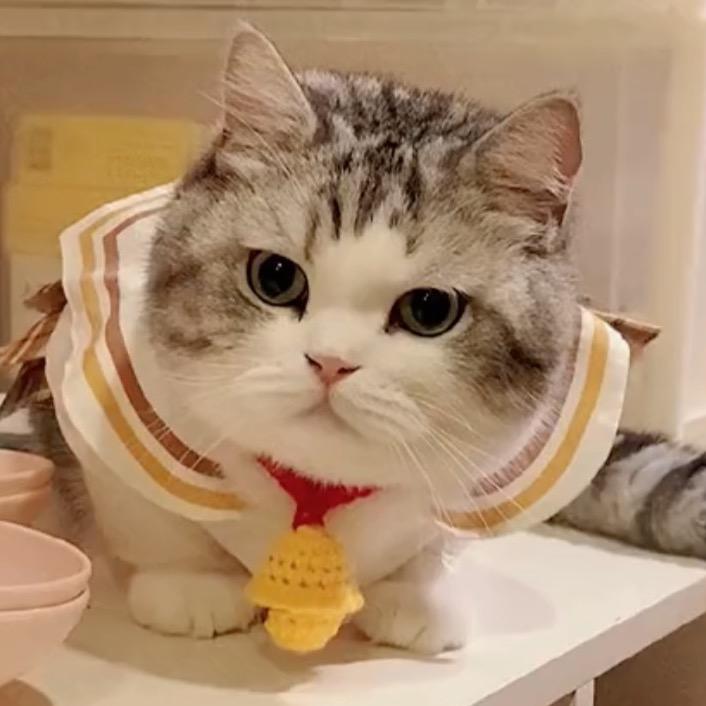 江湖有大头@抖音