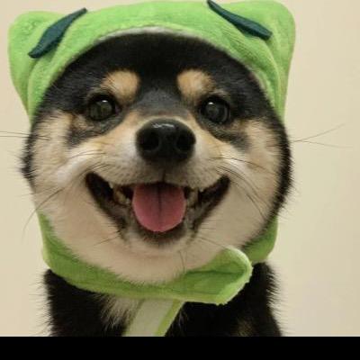 王大脸