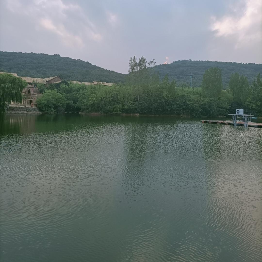 墨子枯叶