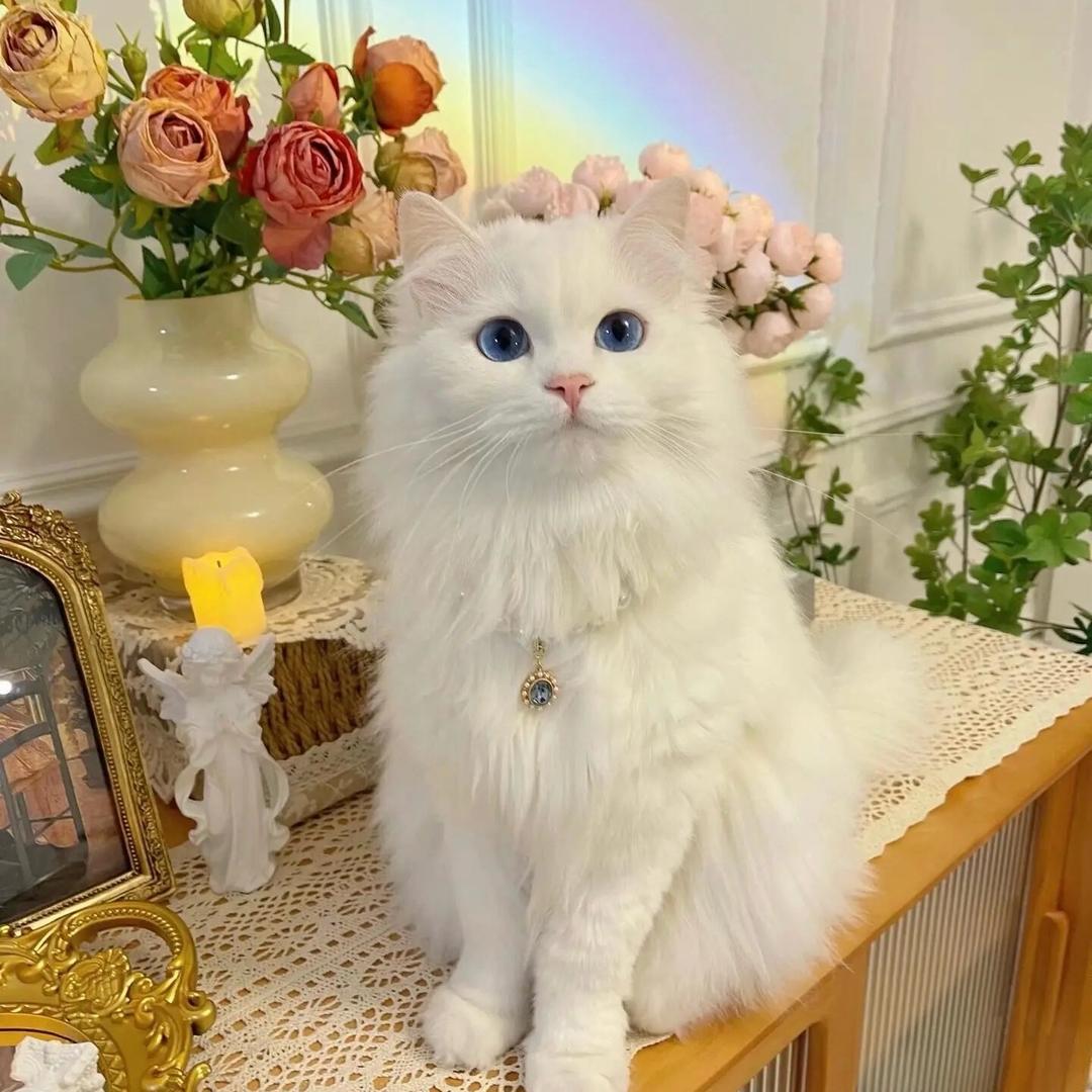 娜宝💐