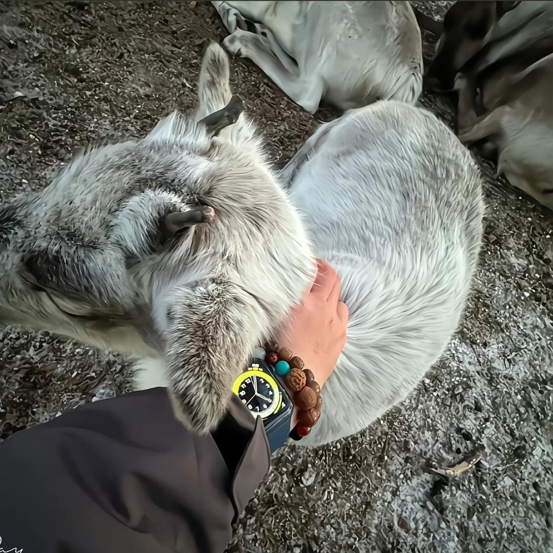 打不过就吐口水