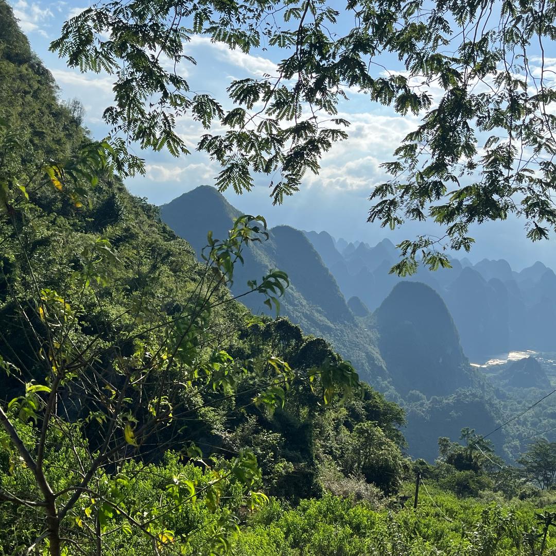 用魔法打败魔法🍬