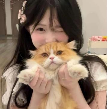 小羊咩
