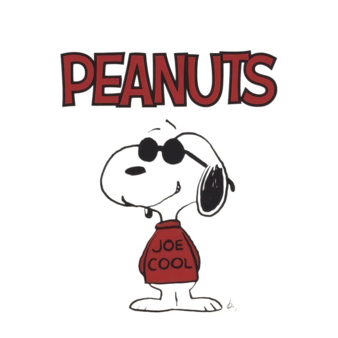 史努比童潮童装工厂店