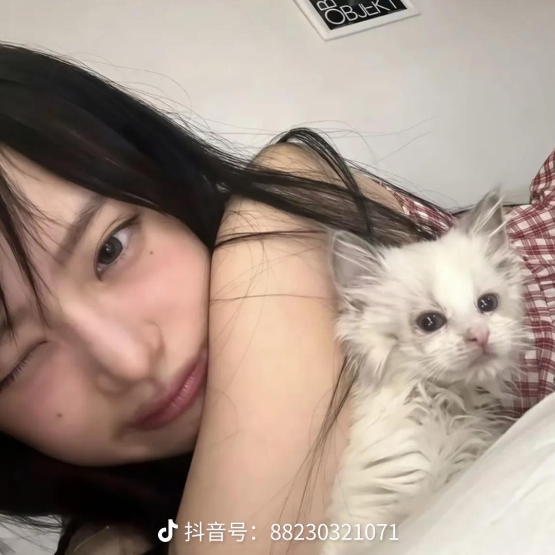 小灯泡