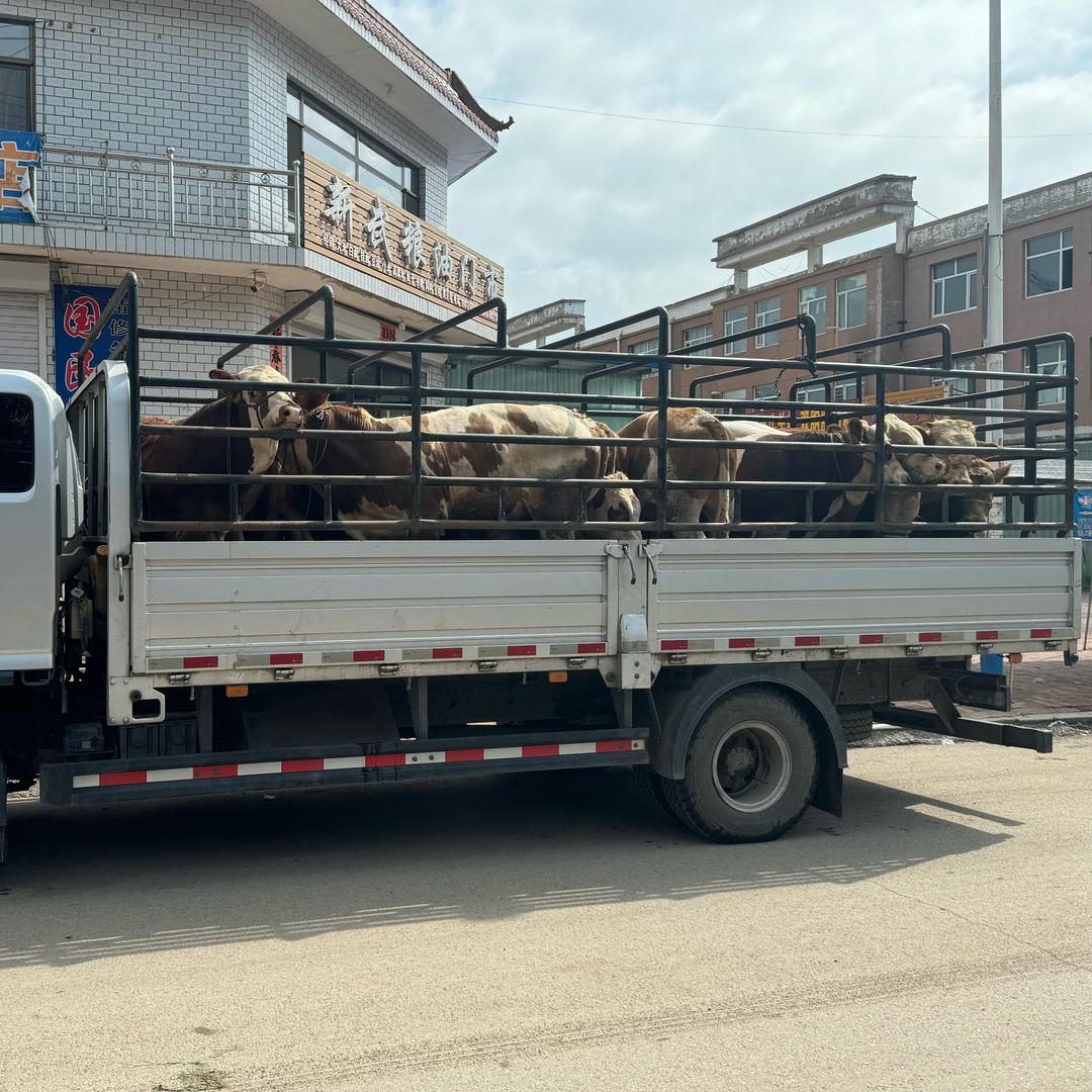 贩牛翁（牛经纪人）